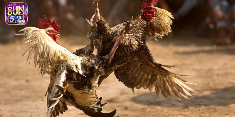 Chia sẻ kinh nghiệm cá cược để luôn chiến thắng trong mọi trận đấu