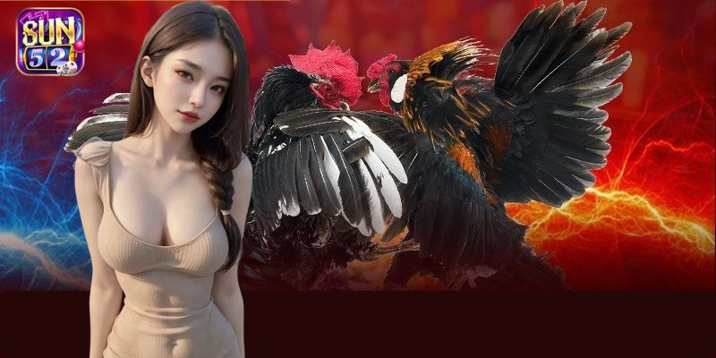 Cược Meron thưởng cao đến 1:0.96